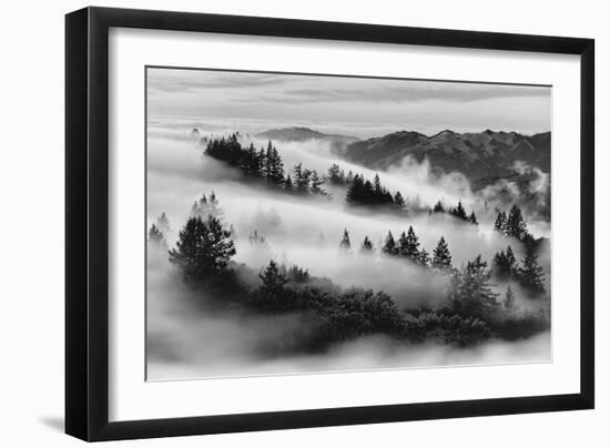 Dreamland, Black and White, Fog at Mount Tamalpais, Marin, Bay Area San Francisco-Vincent James-Framed Photographic Print