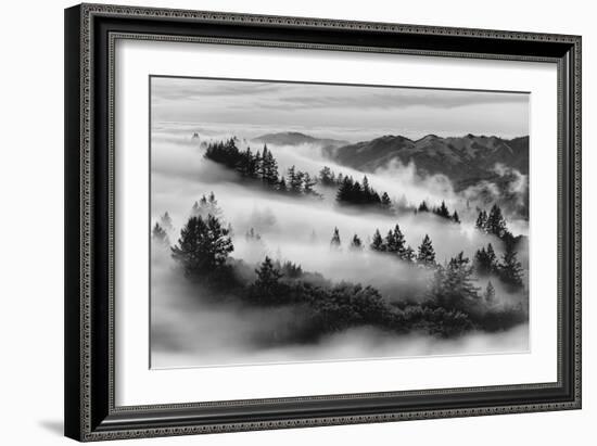 Dreamland, Black and White, Fog at Mount Tamalpais, Marin, Bay Area San Francisco-Vincent James-Framed Photographic Print