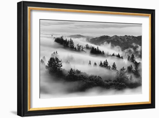 Dreamland, Black and White, Fog at Mount Tamalpais, Marin, Bay Area San Francisco-Vincent James-Framed Photographic Print