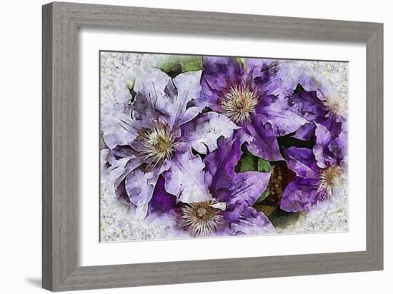 Dreams of Lilac Clematis-Dorothy Berry-Lound-Framed Giclee Print