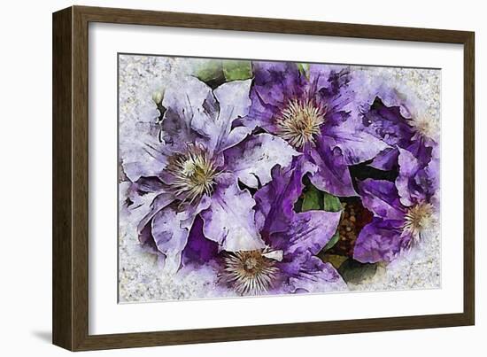 Dreams of Lilac Clematis-Dorothy Berry-Lound-Framed Giclee Print