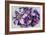 Dreams of Lilac Clematis-Dorothy Berry-Lound-Framed Giclee Print