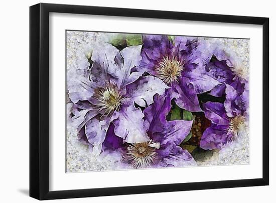 Dreams of Lilac Clematis-Dorothy Berry-Lound-Framed Giclee Print