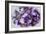 Dreams of Lilac Clematis-Dorothy Berry-Lound-Framed Giclee Print