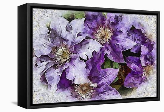 Dreams of Lilac Clematis-Dorothy Berry-Lound-Framed Premier Image Canvas