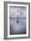 Dreams on Lake Windermere!-Adrian Campfield-Framed Giclee Print