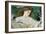 Dreams-Frederick William Burton-Framed Giclee Print