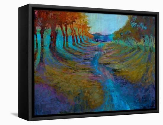 Dreamscape I-Michael Tienhaara-Framed Stretched Canvas