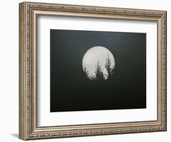 Dreamscape-Art Wolfe-Framed Photographic Print