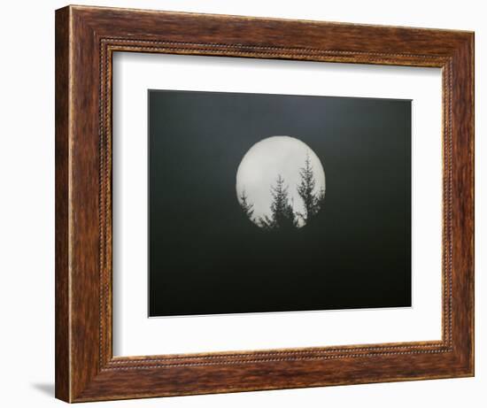 Dreamscape-Art Wolfe-Framed Photographic Print