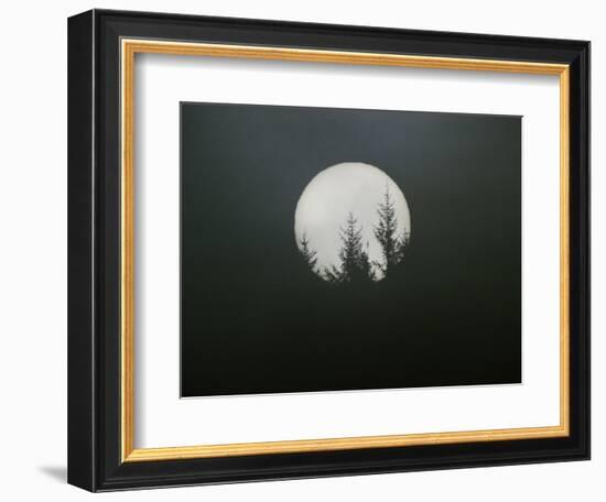 Dreamscape-Art Wolfe-Framed Photographic Print