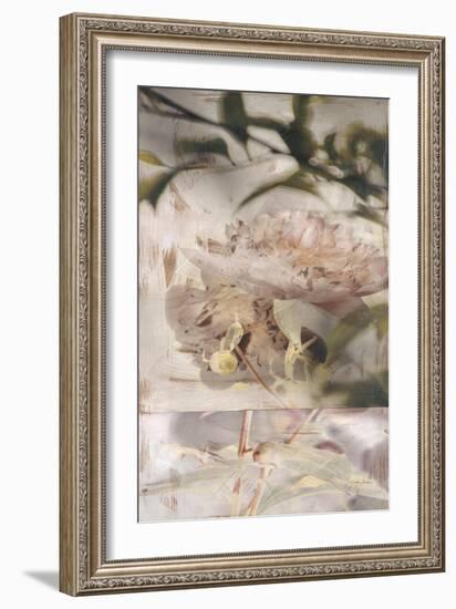 Dreamtime Peony 1-Matina Theodosiou-Framed Art Print