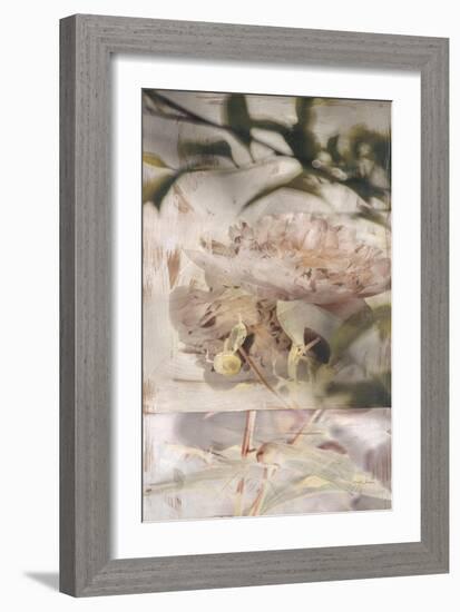 Dreamtime Peony 1-Matina Theodosiou-Framed Art Print