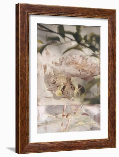 Dreamtime Peony 1-Matina Theodosiou-Framed Art Print