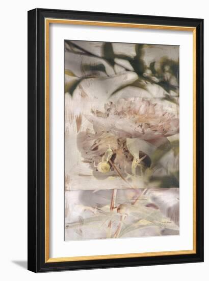 Dreamtime Peony 1-Matina Theodosiou-Framed Art Print