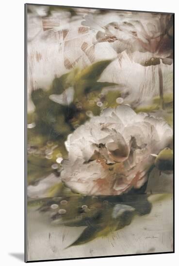 Dreamtime Peony 2-Matina Theodosiou-Mounted Art Print