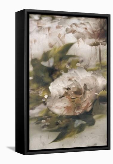 Dreamtime Peony 2-Matina Theodosiou-Framed Stretched Canvas