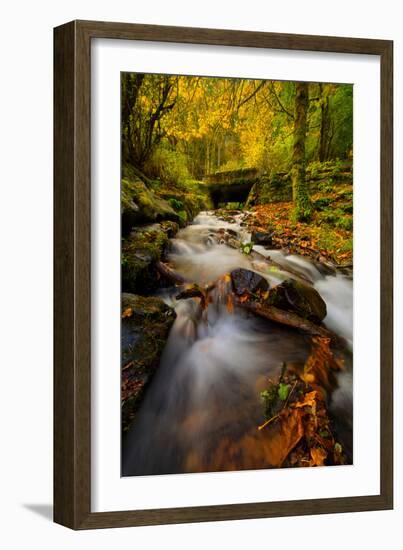 Dreamy Autumn Creek, Columbia River Gorge, Oregon-Vincent James-Framed Photographic Print