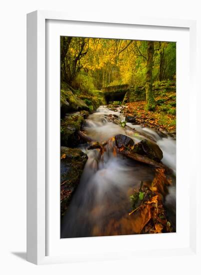 Dreamy Autumn Creek, Columbia River Gorge, Oregon-Vincent James-Framed Photographic Print