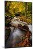 Dreamy Autumn Creek, Columbia River Gorge, Oregon-Vincent James-Mounted Photographic Print