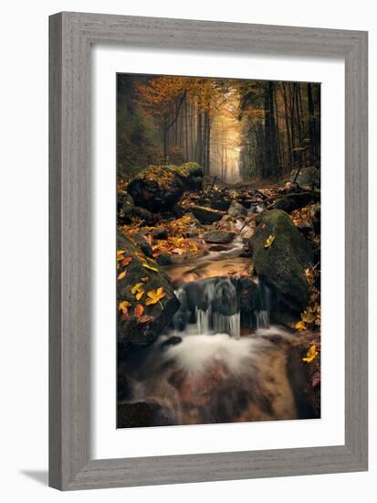 Dreamy Autumn-Stefan Hefele-Framed Giclee Print