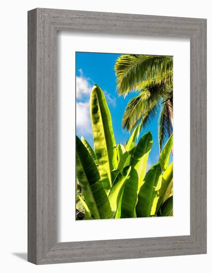 Dreamy Bali - Between the Leaves-Philippe HUGONNARD-Framed Photographic Print