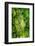 Dreamy Bali - Between the Rainforest-Philippe HUGONNARD-Framed Photographic Print