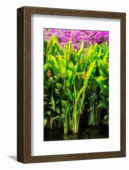 Dreamy Bali - Heliconia-Philippe HUGONNARD-Framed Photographic Print