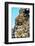 Dreamy Bali - Indonesian God Statue-Philippe HUGONNARD-Framed Photographic Print