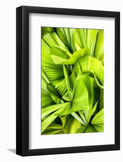 Dreamy Bali - Palm Leaves III-Philippe HUGONNARD-Framed Photographic Print