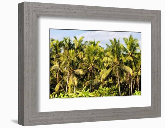 Dreamy Bali - Palm Trees Forest-Philippe HUGONNARD-Framed Photographic Print