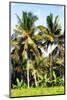 Dreamy Bali - Palm Trees-Philippe HUGONNARD-Mounted Photographic Print