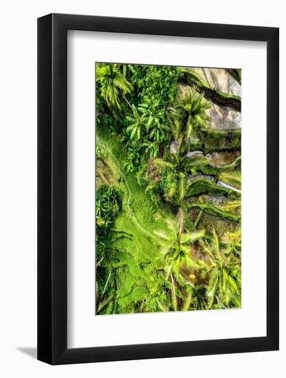 Dreamy Bali - Rices Terraces Ubud-Philippe HUGONNARD-Framed Photographic Print