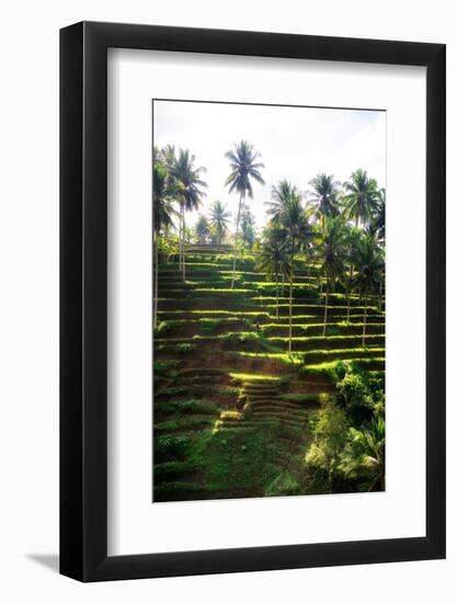 Dreamy Bali - Sunrise Rice Terraces-Philippe HUGONNARD-Framed Photographic Print