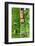 Dreamy Bali - Symmetry-Philippe HUGONNARD-Framed Photographic Print