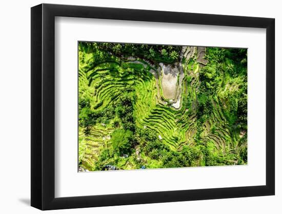 Dreamy Bali - Tegallalang Bali-Philippe HUGONNARD-Framed Photographic Print