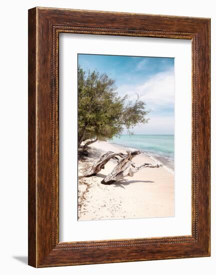 Dreamy Bali - Wild-Philippe HUGONNARD-Framed Photographic Print