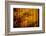 Dreamy Bali - Yellow Curtain Shadow II-Philippe HUGONNARD-Framed Photographic Print