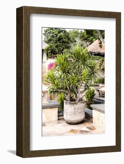 Dreamy Bali - Yucca Mood-Philippe HUGONNARD-Framed Photographic Print