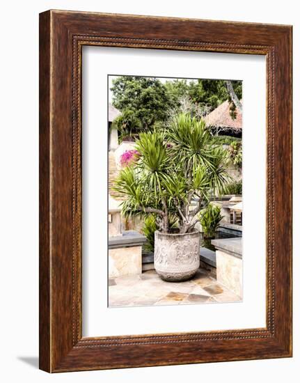 Dreamy Bali - Yucca Mood-Philippe HUGONNARD-Framed Photographic Print