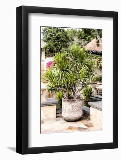 Dreamy Bali - Yucca Mood-Philippe HUGONNARD-Framed Photographic Print