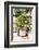 Dreamy Bali - Yucca Mood-Philippe HUGONNARD-Framed Photographic Print