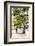 Dreamy Bali - Yucca Mood-Philippe HUGONNARD-Framed Photographic Print