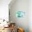 Dreamy Bokeh Seascape-THE Studio-Giclee Print displayed on a wall