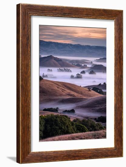 Dreamy Country Hills and Fog, Petaluma, Sonoma, Bay Area-Vincent James-Framed Photographic Print