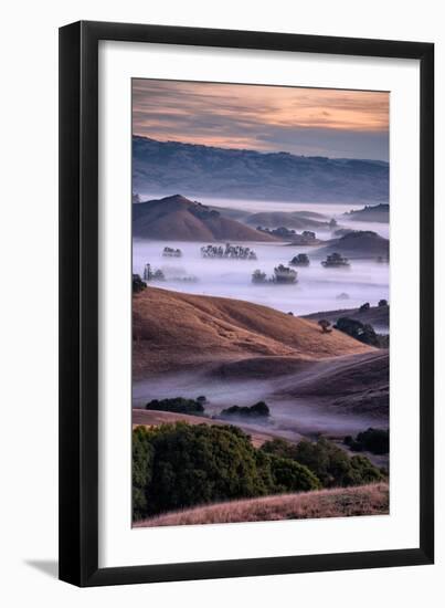 Dreamy Country Hills and Fog, Petaluma, Sonoma, Bay Area-Vincent James-Framed Photographic Print