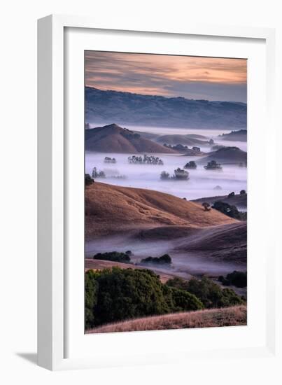 Dreamy Country Hills and Fog, Petaluma, Sonoma, Bay Area-Vincent James-Framed Photographic Print