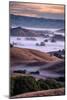 Dreamy Country Hills and Fog, Petaluma, Sonoma, Bay Area-Vincent James-Mounted Photographic Print