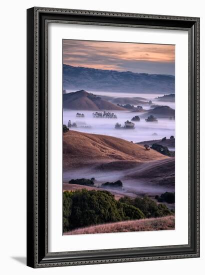 Dreamy Country Hills and Fog, Petaluma, Sonoma, Bay Area-Vincent James-Framed Photographic Print