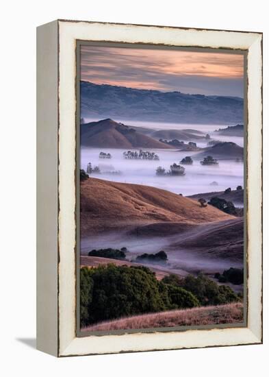 Dreamy Country Hills and Fog, Petaluma, Sonoma, Bay Area-Vincent James-Framed Premier Image Canvas